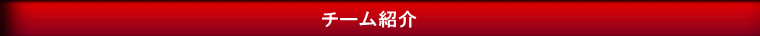 チーム紹介 